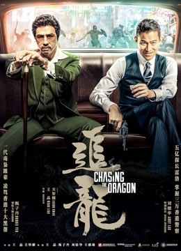 追龙 海报 高清在线观看