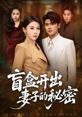 盲盒开出妻子的秘密 海报 高清在线观看