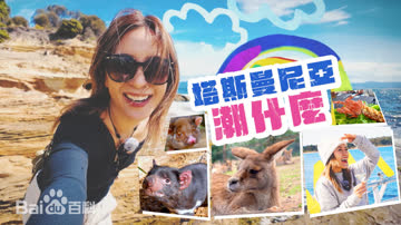 塔斯曼尼亞潮什麼 海报 高清在线观看