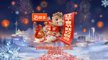 辽宁春节联欢晚会2026 海报 高清在线观看