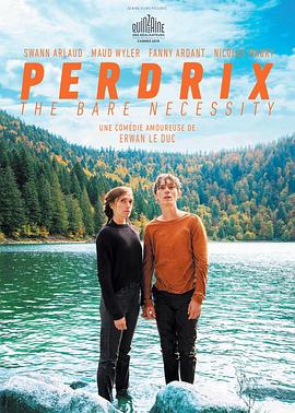 佩尔德利 Perdrix 海报 高清在线观看