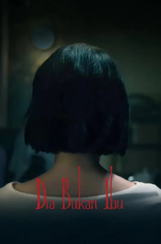 她不是我妈妈 海报 高清在线观看