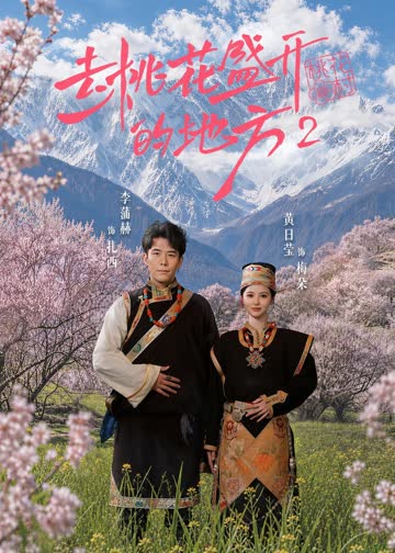 去桃花盛开的地方第二部 海报 高清在线观看