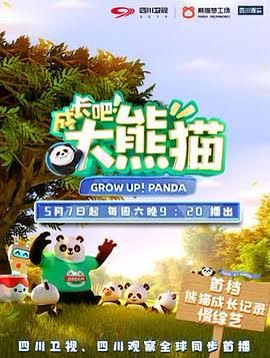 成长吧！大熊猫 海报 高清在线观看