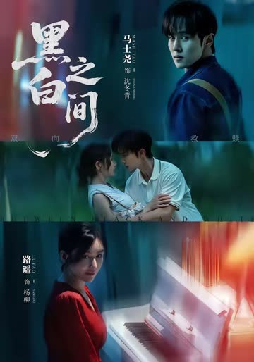 黑白之间 海报 高清在线观看