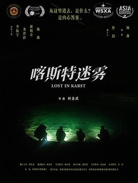 喀斯特迷雾 海报 高清在线观看