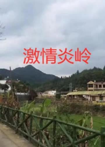 激情炎岭 海报 高清在线观看