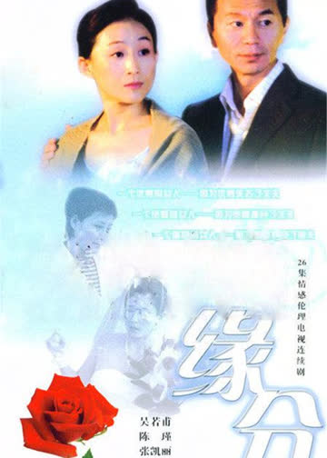 缘分 海报 高清在线观看