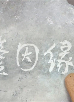 鉴因缘 海报 高清在线观看