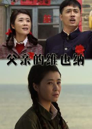 父亲的维也纳 海报 高清在线观看