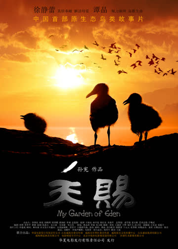 天赐 海报 高清在线观看