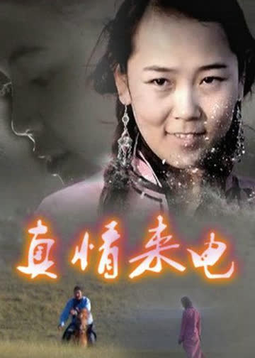 真情来电 海报 高清在线观看