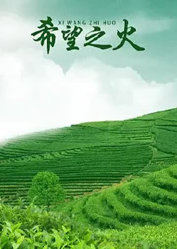 希望之火 海报 高清在线观看