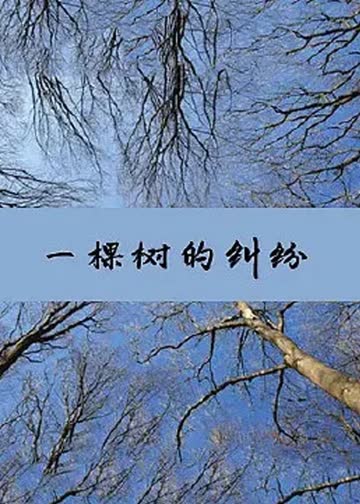 一棵树的纠纷 海报 高清在线观看