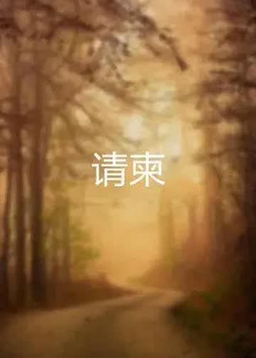 请柬 海报 高清在线观看