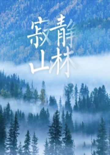 寂静山林 海报 高清在线观看