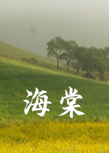 海棠 海报 高清在线观看
