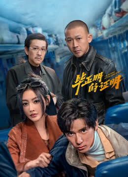 毕正明的证明 海报 高清在线观看