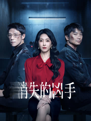 消失的凶手 海报 高清在线观看