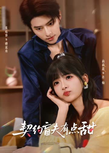 契约盲夫有点甜 海报 高清在线观看