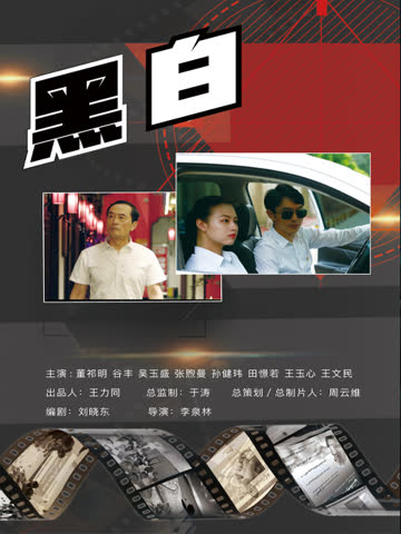 黑·白 海报 高清在线观看