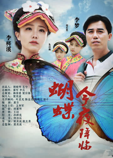 蝴蝶今夜降临 海报 高清在线观看