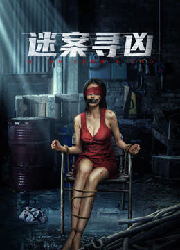 迷案寻凶 海报 高清在线观看