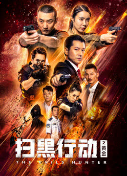 扫黑行动之黄金 海报 高清在线观看