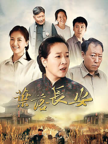 叶落长安 海报 高清在线观看