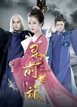寻找前世之旅 海报 高清在线观看