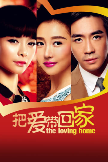 把爱带回家 TV版 海报 高清在线观看