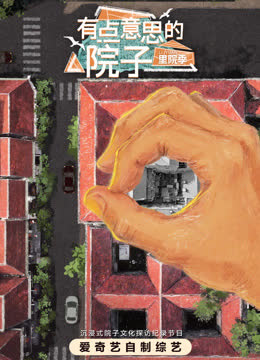 有点意思的院子·里院季 海报 高清在线观看
