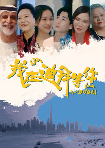 我在迪拜等你 海报 高清在线观看
