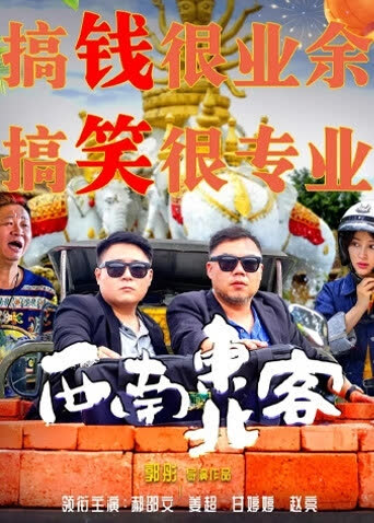 西南东北客 海报 高清在线观看