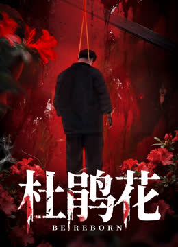 杜鹃花 海报 高清在线观看