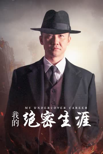 我的绝密生涯 海报 高清在线观看