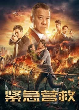 紧急营救 海报 高清在线观看
