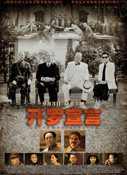 开罗宣言 海报 高清在线观看
