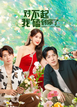 对不起，我磕到你了 在线观看