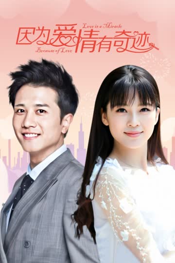 因为爱情有奇迹 TV版 海报 高清在线观看