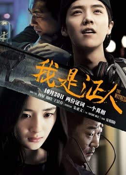 我是证人 海报 高清在线观看