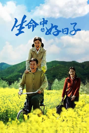 生命中的好日子 海报 高清在线观看