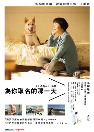 为你取名的那一天 海报 高清在线观看
