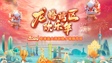 龙腾湾区欢乐年·粤港澳大湾区除夕特别节目2024 海报 高清在线观看