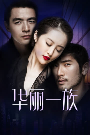 华丽一族 DVD版 海报 高清在线观看