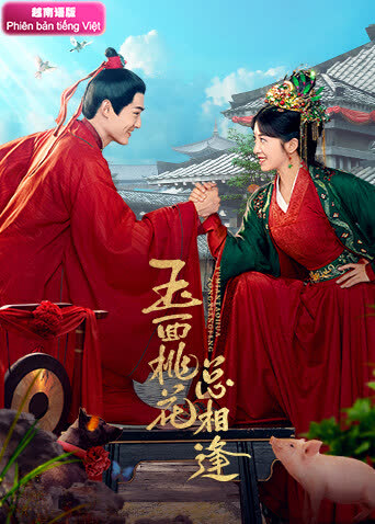 玉面桃花总相逢越南语版 海报 高清在线观看