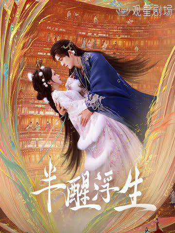 半醒浮生 海报 高清在线观看