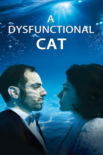 一只功能失调的猫 海报 高清在线观看