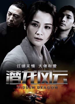 潜龙风云 海报 高清在线观看