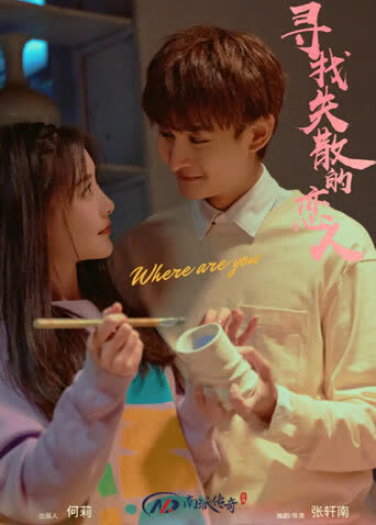 寻找消失的恋人 海报 高清在线观看